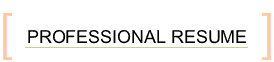 PROFESSIONAL RESUME